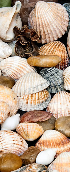 Feel Good Studio Massage